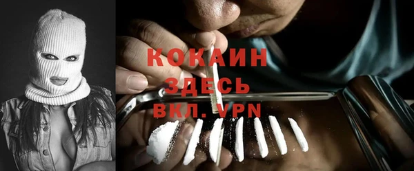 spice Бородино