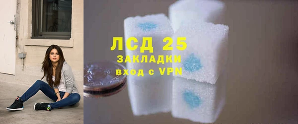 дживик Богородицк