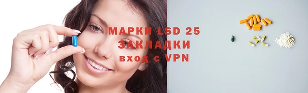крисы Богданович