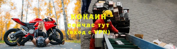 крисы Богданович