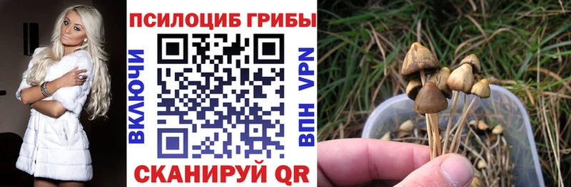 Галлюциногенные грибы мухоморы  Купить  Лесосибирск 
