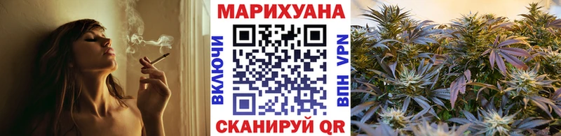 Купить где  Лесосибирск  Бошки марихуана OG Kush 